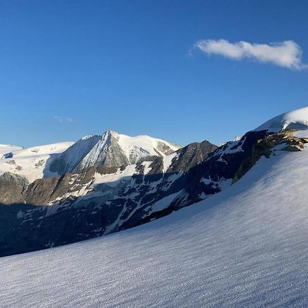 Hotel Grand-Combin Fionnay Eksteriør bilde